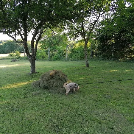 Konukevi Orban Porta