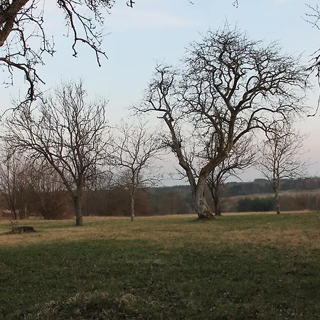 Orban Porta