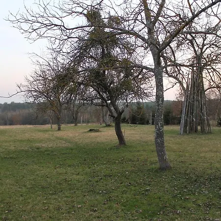 Orban Porta *