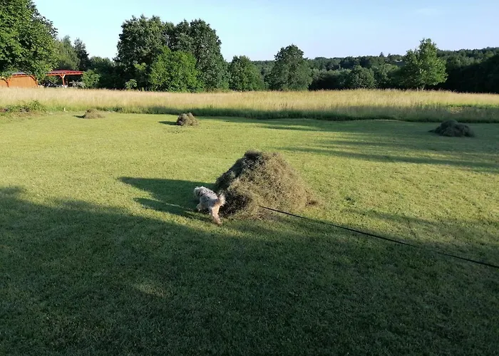 Orban Porta 게스트하우스